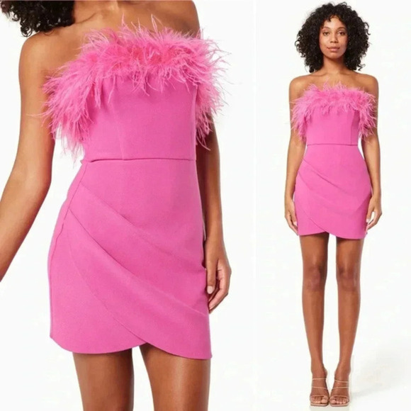 NWT‎ ELLIATT Paulina Pink Mini Dress Size Medium Feather Trim - Picture 3 of 10